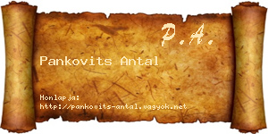 Pankovits Antal névjegykártya