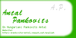 antal pankovits business card